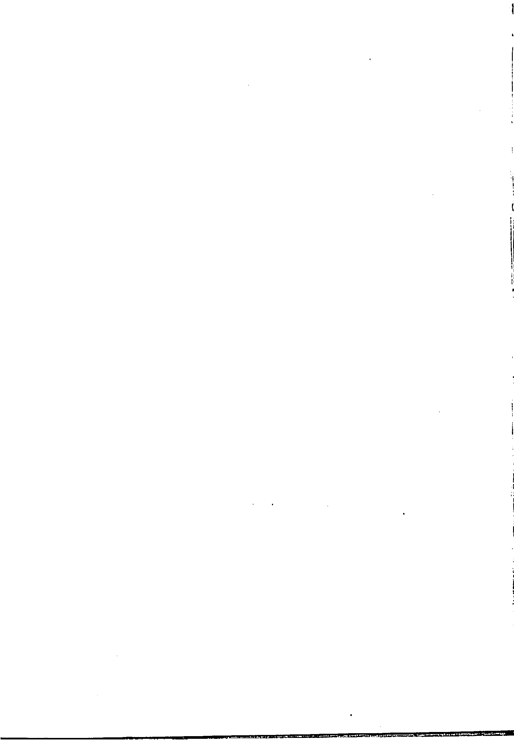 scan recto