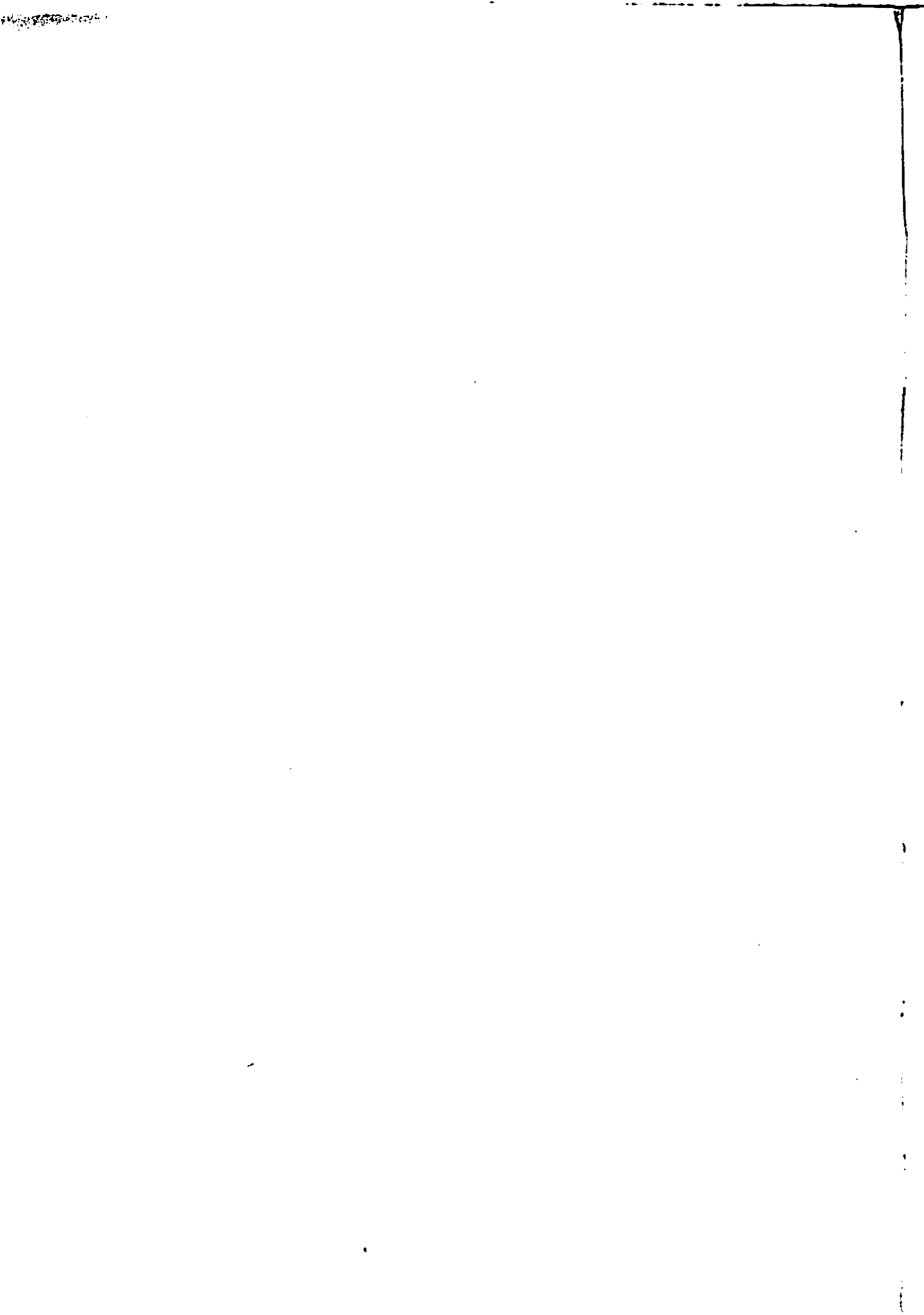 scan recto