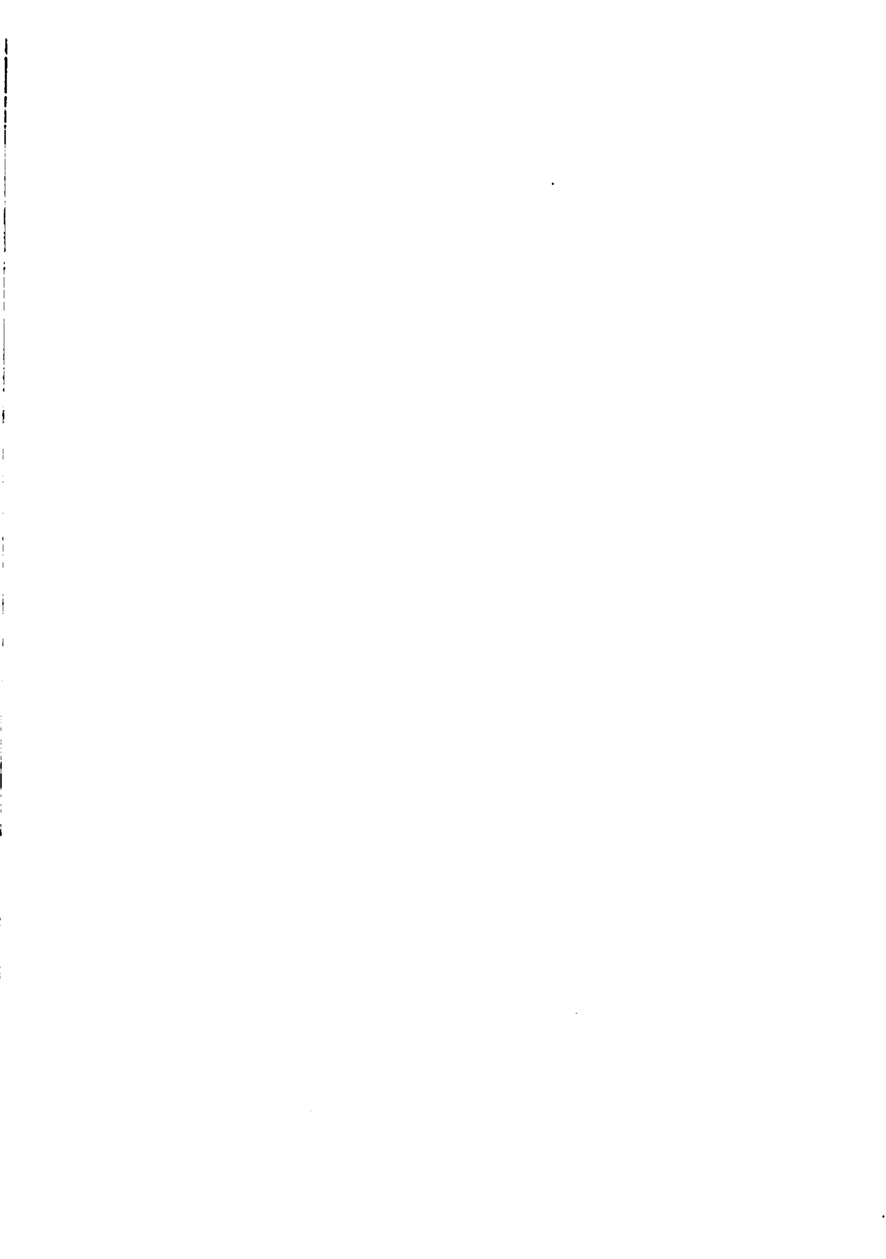 scan verso