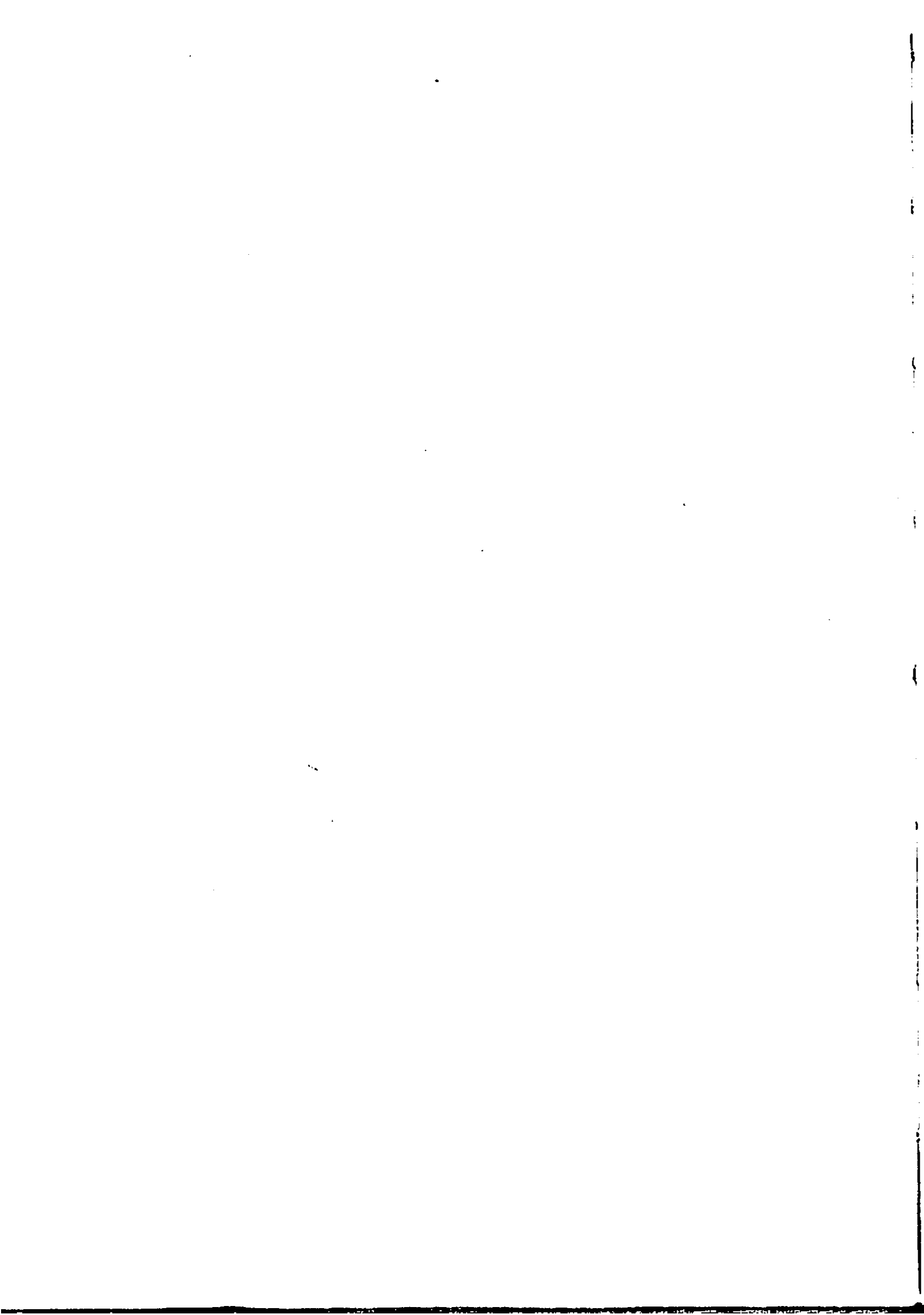 scan recto
