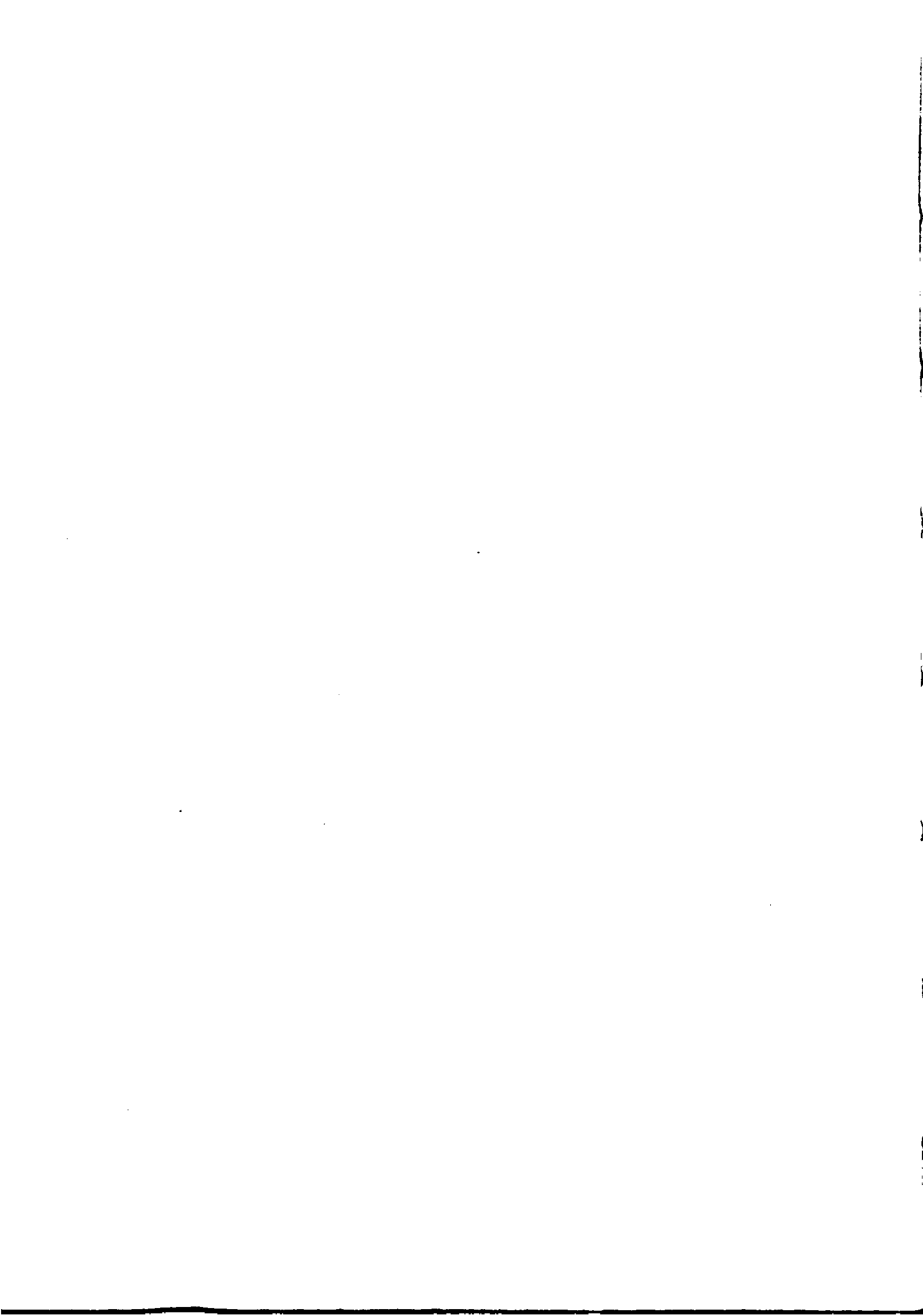 scan recto