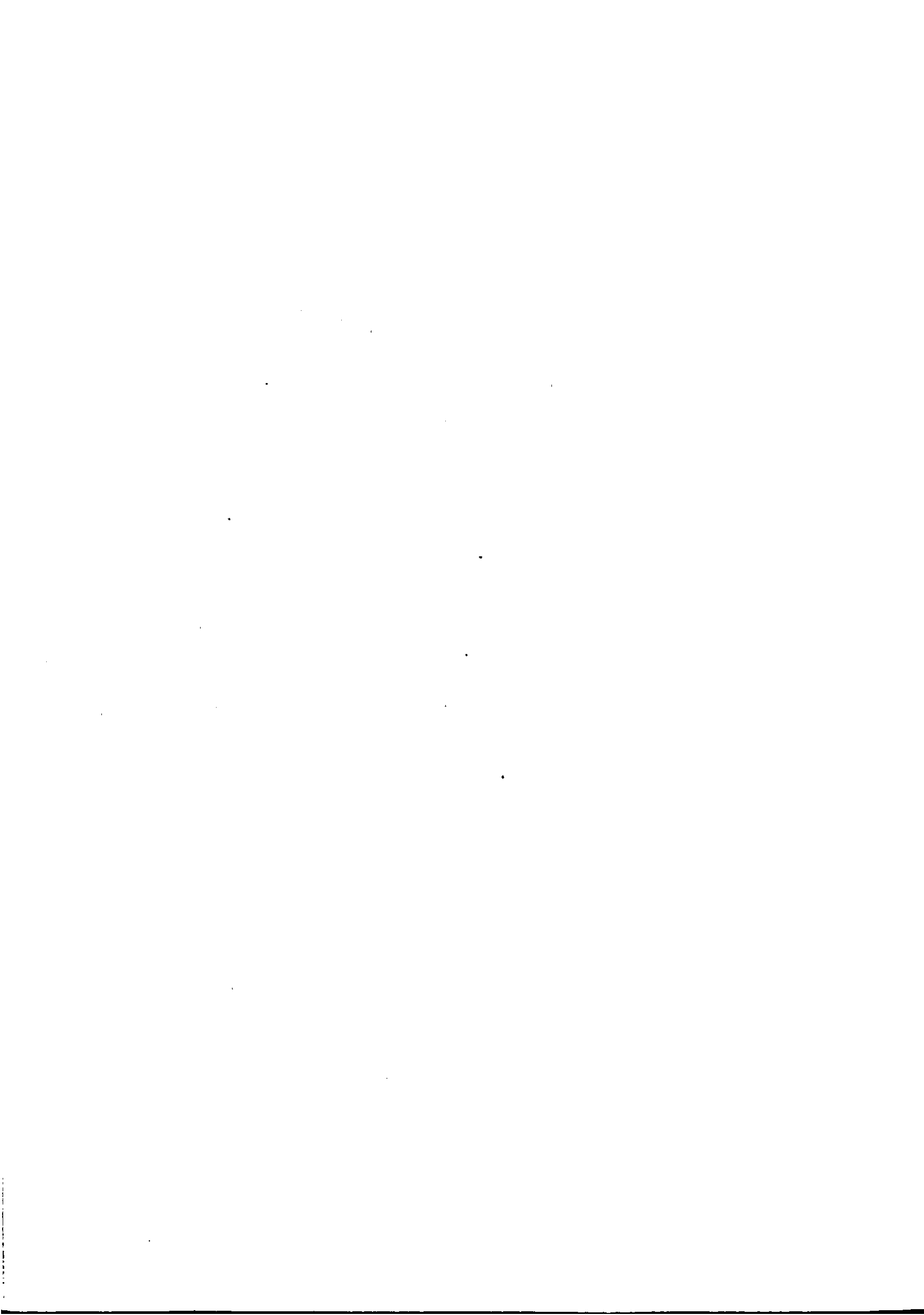 scan recto